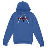 DePaul Blue Demons: Wordmark